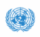 UN logo